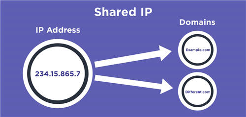 共享IP与专用IP地址有什么区别？IP地址综合指南