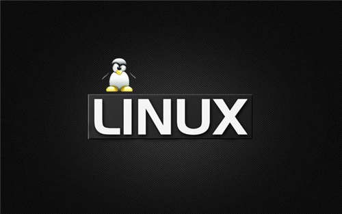 为什么说Linux VPS主机是最佳的选择？看完你就懂了