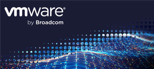 VMware-Broadcom合作商评估新渠道主管的愿景和战略